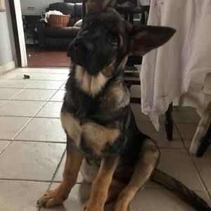 Meet your Posher, Carisa